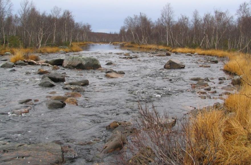 i deler av elva. Ved lav vannføring somrene 2002 og 2003 predaterte kråke og måke på muslinger i vassdraget (M. Svandal pers. med.