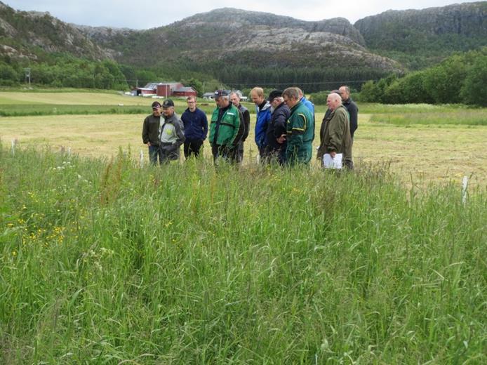 Årsmelding Norsk Landbruksrådgiving Namdal 2015 og 01.