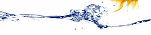 Forord Vannbransjen tjener et viktig formål i samfunnet gjennom leveranse av tilfredsstillende vann- og avløpstjenester til befolkning og næringsliv.