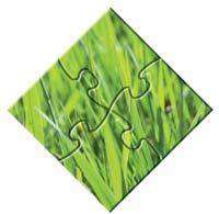 KUHN GRASSMASTER er et initiativ fra KUHN for å vise deg hvorfor det er så viktig å produsere grovfôr med best