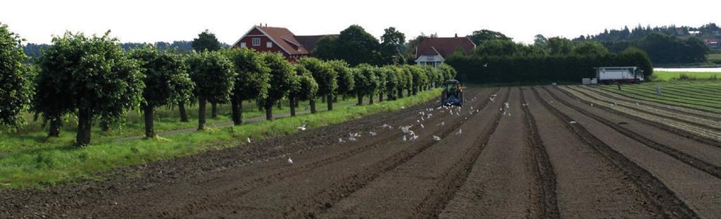 Gjødslingsplanlegging Foto: Ole Walter Jacobsen Jordprøver Jordprøvene analyseres vanligvis for surhet (ph), lettløselig fosfor (P-AL), kalium (K-AL), magnesium (Mg-AL) og kalsium (Ca-AL).