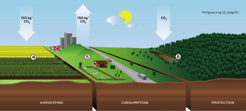 Teknologi Optimalisering av gjødselproduksjonen Mineralgjødsel som inneholder AN blir laget av ammoniakk og salpetersyre.