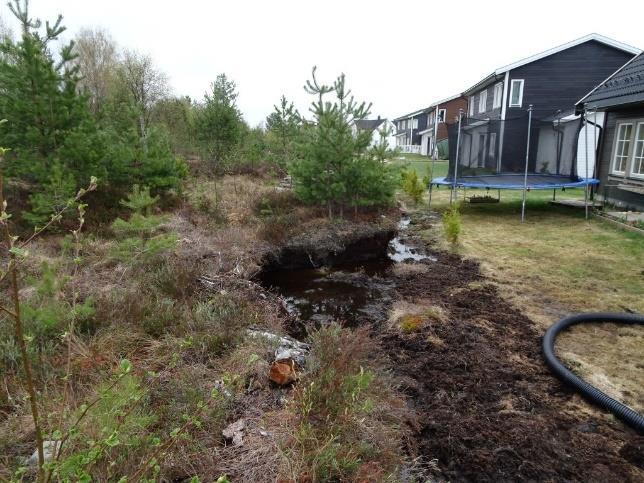 Figur 6a og 6b: Helt nord i lokalitet 1 blir effekter av byggeaktiviteten på den vannregulerende virkningen av myra synlig.