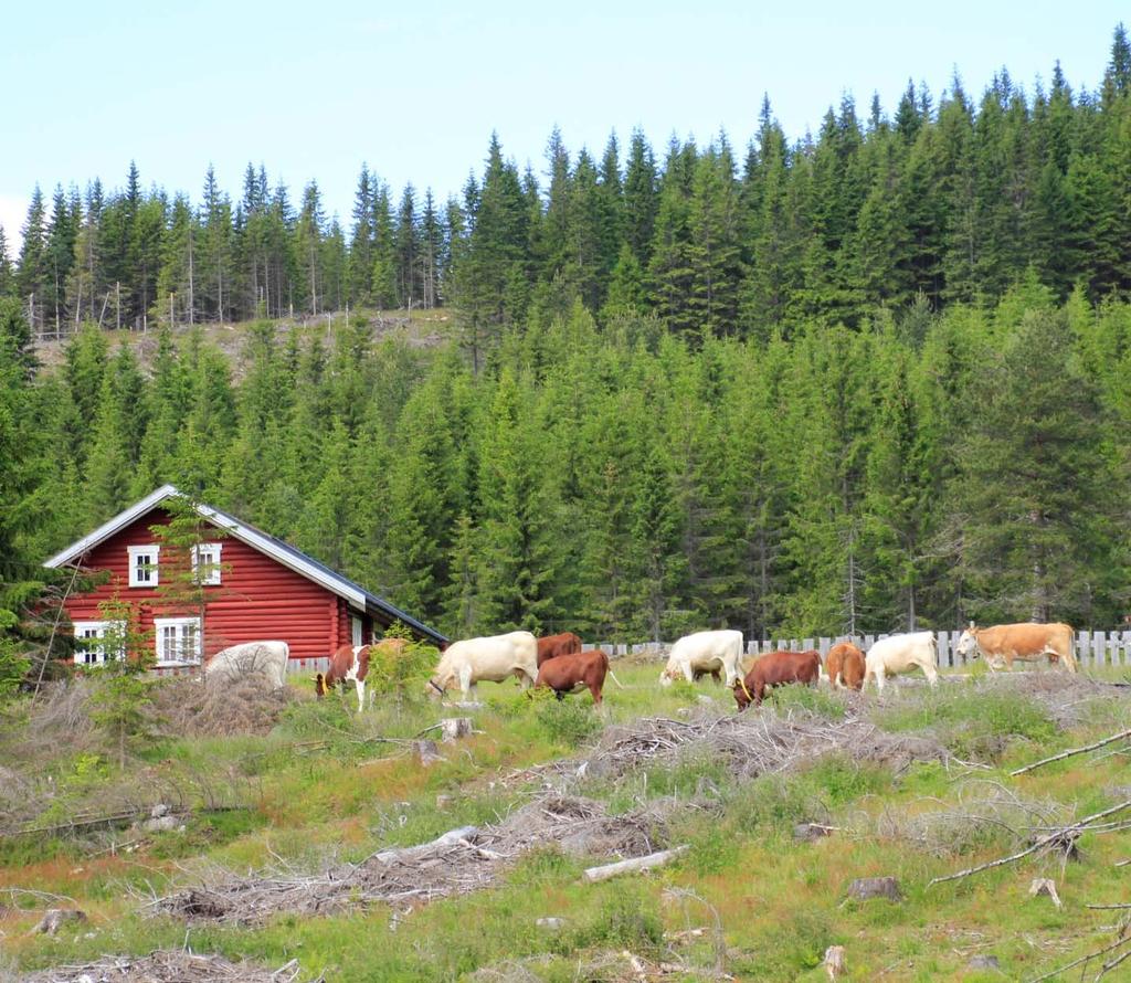 kommune NIBIO RAPPORT VOL. 3 NR.