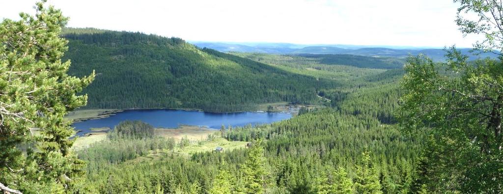 Knuksjøen sett fra Søndre Knuklia (YNR). Hersjøen og Hersjøvangen (MIA). 3.2 Klima Temperatur: Nærmeste målestasjon for temperatur ligger på Staur i Stange (150 moh.