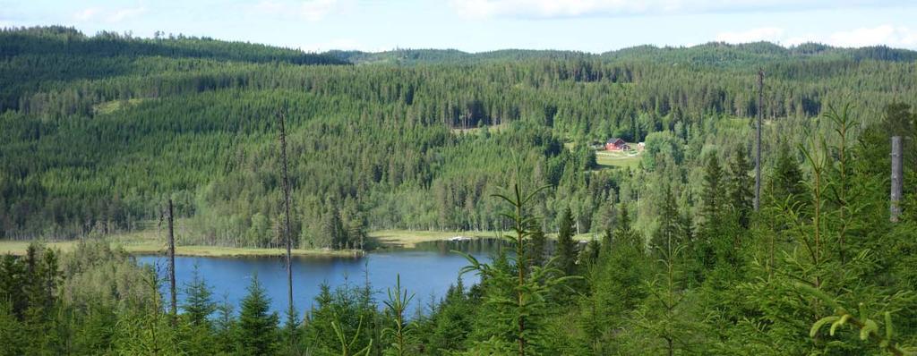 ) Både årsnormal og de månedsvise midlene for stasjonene er noenlunde like, og viser et typisk innlandsklima med låge vintertemperaturer og varme somrer. Årsnormalene er henholdsvis 3,9 og 3,6 grader.