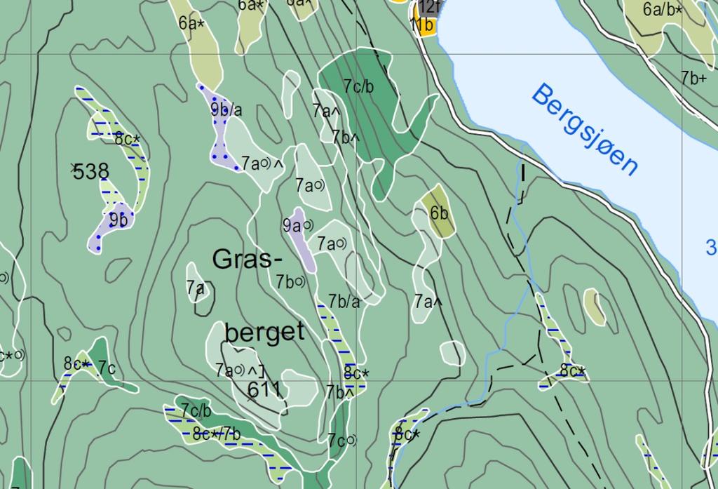 Figur 8. Utsnitt av vegetasjonskartet ved Bergsjøen. 4.