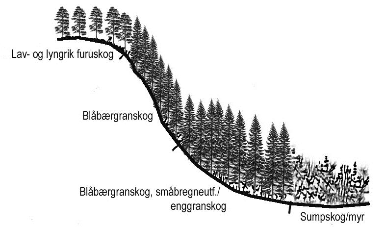 Naturforholda i kartområdet er veldig homogene i den forstand at berggrunn, løsmasser og topografi fordeler seg etter noenlunde samme mønster i hele området.