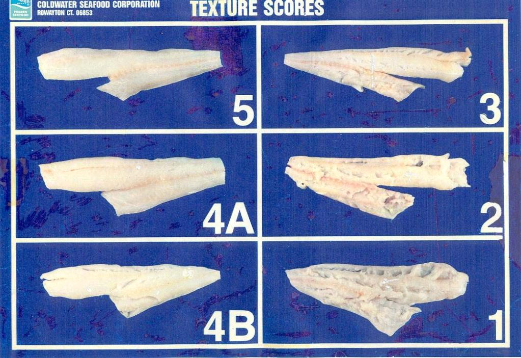 Lys Lyshet Litt grå eller rødlig Tydelig grå eller rødlig Ingen Gulfarge Noe gulning eller gule flekker Mye gulning eller gule flekker Lite Saltfisklukt Mye Fast Fasthet Bløt Spalting Fra 1 til 6, se