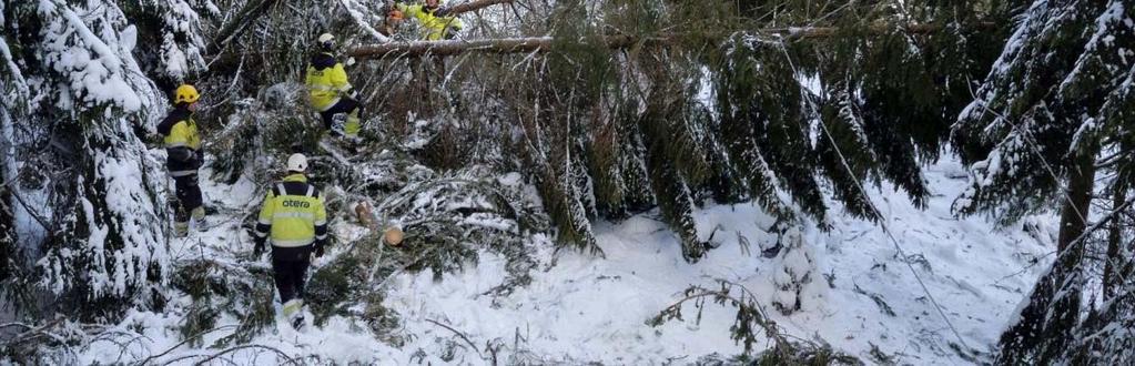 Søvde og Harold McInnes Divisjon for skog og