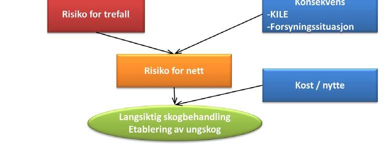 6 Diskusjon Denne rapporten omhandler risikoen for trefall, og hvordan skogbehandlingen kan legges opp for å redusere denne.