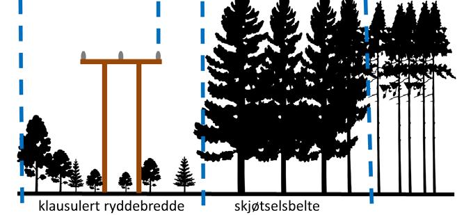 Basert på teorien blir en enkel mal for skogbehandlingen langs ei kraftgate å regulere treantallet i ungskog ned til 80-100 trær per daa (3-3,5 m avstand mellom trærne) og være varsom med hogst