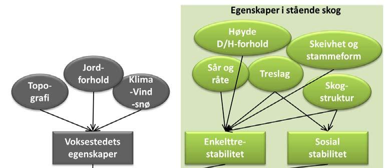 Fig. 17. Beslutningsstøtte for kortsiktig skogbehandling i stående skog langs kraftlinje.