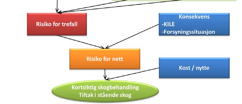 Hvordan man skal skjøtte en gammel skog langs kraftlinjene avhenger av hvor heterogen den er, og hvor høy enkelttre-stabilitet den har.