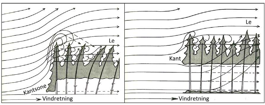 2 Vind og snøkrefter på skog Vi bruker her «trefall» som et felles uttrykk for rotvelt (vindfall) og stammebrekk (snøbrekk, toppbrekk).