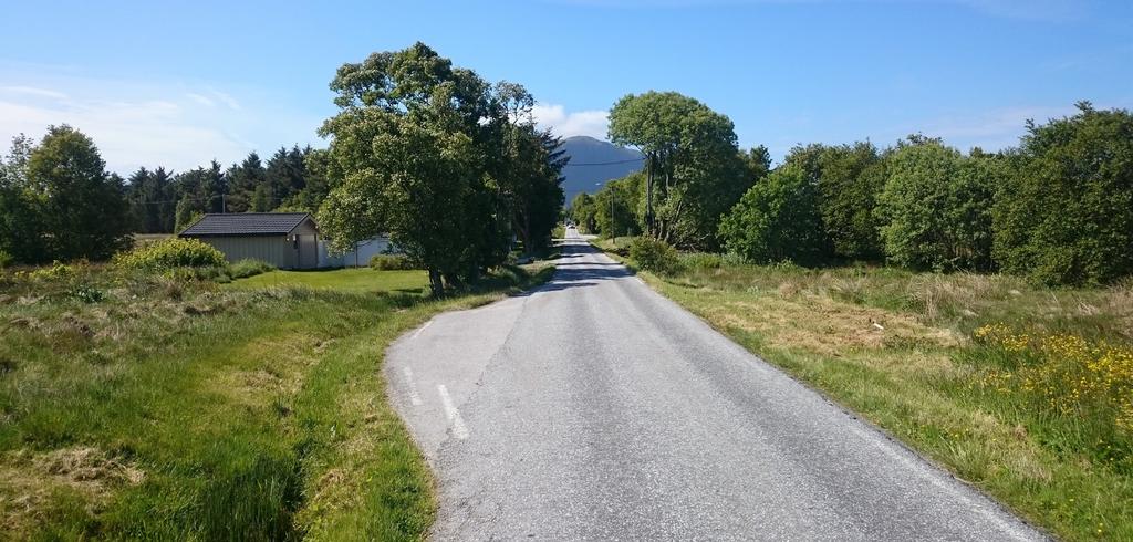 1 Innleiing 1.1 Bakgrunn Trafikkulykker utgjer ein vesentleg helserisiko og gjev store samfunnsøkonomiske kostnadar kvart år.