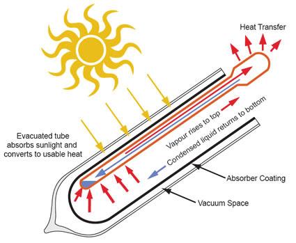 Figur 2-5 Virkemåte for vakuumrøyr med heat-pipe teknologi [6] Vakuumrøyra vert kopla til solfangaren via eit forgreiningsrøyr som vert kalla manifold.