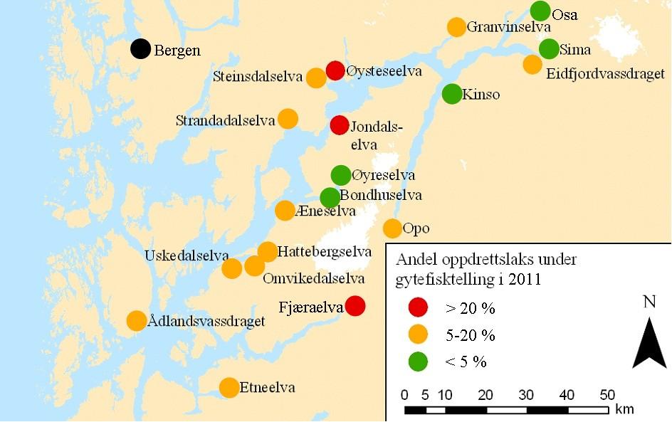 Oversikt over prosentdelen oppdrettslaks under gytefiskteljing i perioden 2004-2010 Oversikt over prosentdelen oppdrettslaks under gytefiskteljing i 2011.