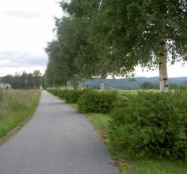 3 Fv. Nannestad Veginfo: Asfaltdekke med gul stripe. 60 km/t. ÅDT 3000. Vegbredde: 6,5 m. Allélengde: 300 m. Ensidig rekke, plantet.