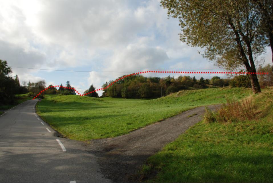 Den frodige lauvvegetasjonen er et verdifullt innslag i det beitepregete landskapet der vegetasjonen skaper mangfold og variasjon. Kongshaugen er den lille kollen til venstre i bildet.