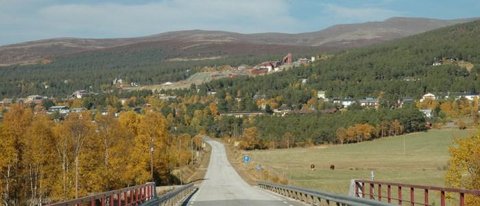 Observasjoner i Skurru tyder på at samlet kobbertransport utgjør opp mot 1 tonn, mens sinktransporten utgjør om lag 1,6 tonn pr. år.