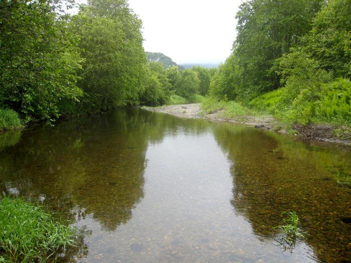 dammer 15.06.2009 (siste) Beskrivelse Innledning: Beskrivelsen er basert på eget (Geir Gaarder) feltarbeid 15.06.2009. Beliggenhet/avgrensing/naturgrunnlag: Lokaliteten ligger rett sør for Rennebu sentrum og omfatter et litt rolig, forgreinet parti av Orkla.