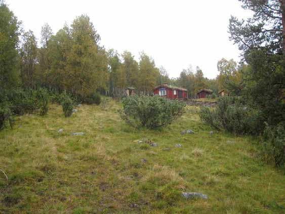 Beliggenhet/avgrensing/naturgrunnlag: Lokaliteten ligger på nordsiden av Gisna, på nedsiden av vegen ved Ytterhussætra.