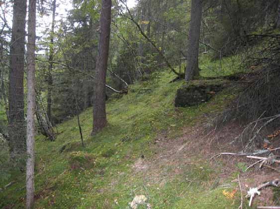 Den grenser mot reservatet i vest, litt diffust mot fattigere skog i nord, skarpt mot vegen i sør, samt nokså skarpt mot eiendomsgrense med ungskog i øst.