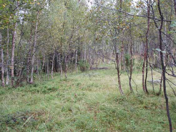 Området omfatter tynnet skog som er blitt tatt i bruk til beite. Avgrenses av kommunevegen i øst, hyttefelt i sør og en liten bekk i nord. Går over i myr og skog i vest.