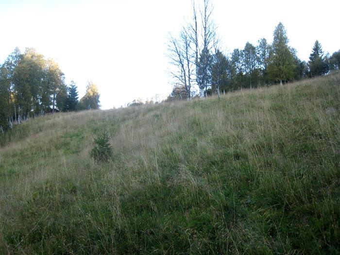 Berggrunnen består stort sett av fyllitt i dette området, men dette gir bare svake utslag på artsmangfoldet. Lokaliteten ligger i ei li som skråner mot vest og nordvest.