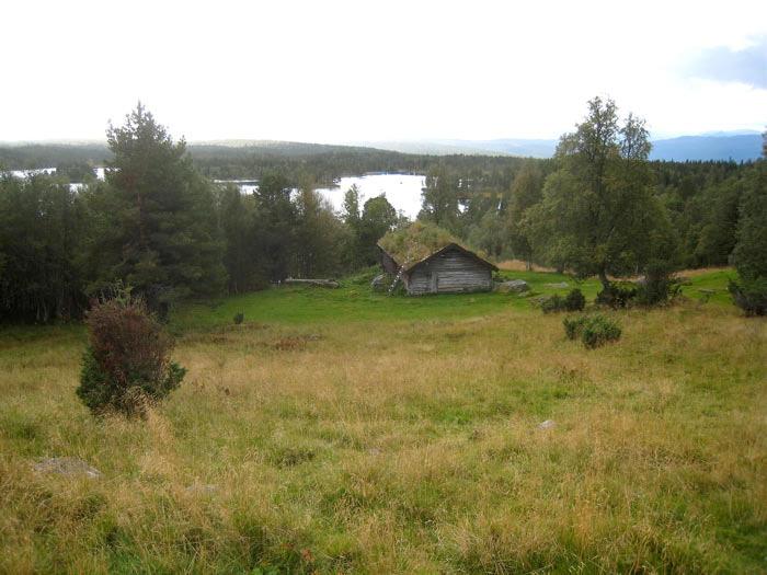 næringsrik "natureng" D0413 (90%), Slåttemark D01 - Frisk næringsrik natureng D0113 (10%). Feltsjekk: 09.