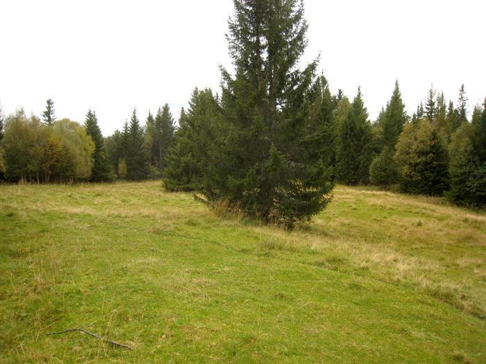 Den ligger i ei slak sørvestskråning og avgrenses skarpt mot gjerder både i sør, øst og vest, mer diffust mot gjerde i nord.