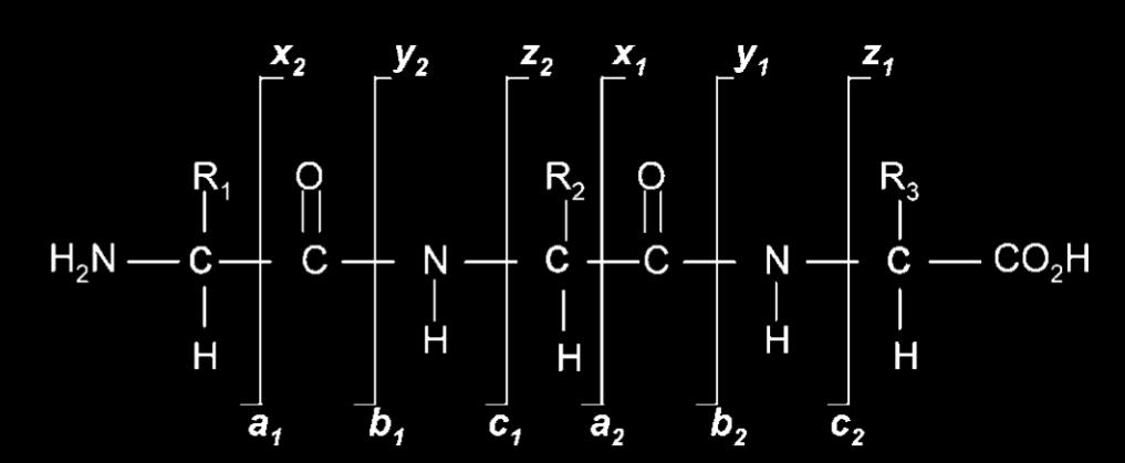 mulig å bestemme peptiders aminosyresekvens ved hjelp av data generert fra MS/MSanalyser. Nomenklatur for peptidioner generert av MS er utviklet av Roepstorff og Fohlman [42].