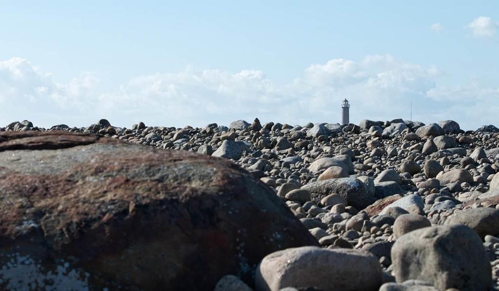 (charnockitt) og lys farsunditt (hornblende granitt). Farsunditt er valgt ut som Vest-Agders fylkesstein.