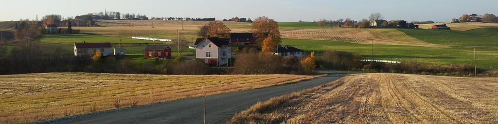 Nesset grunneierlag (Levanger kommune)
