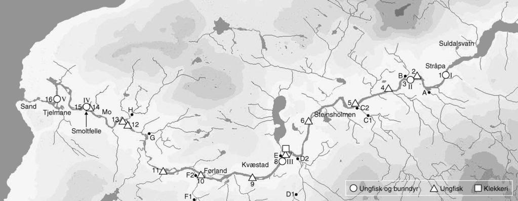 7 Fig. 1. Kart over Suldalslågen med lokalitet for plassering av smoltfelle avmerket. Kartet viser også lokaliteter for andre undersøkelser.
