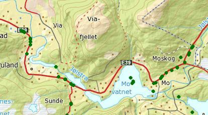 Figur 28 Utskrift frå fallviltdatabasen som viser trafikkdrepen hjort. (Kjelde: hjortevilt.no).