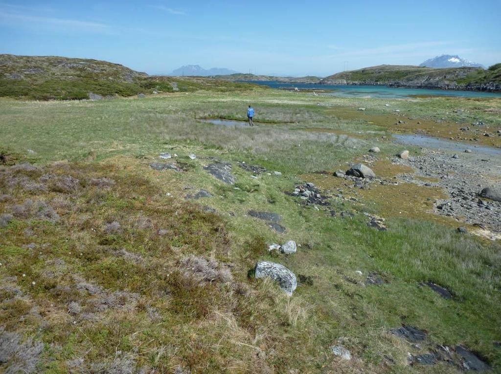 Strandenglokaliteten vises på høyre i bildet (Foto: A. Bär).