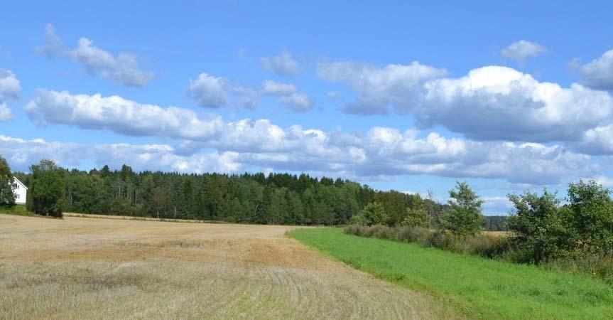 3 Litteratursammenstilling Effektivisering av jordbruket har medført en fjerning av naturlige rensesystemer (som for eksempel naturlige våtmarker, myrer, bekker, samt vegetasjon langs bekker og små