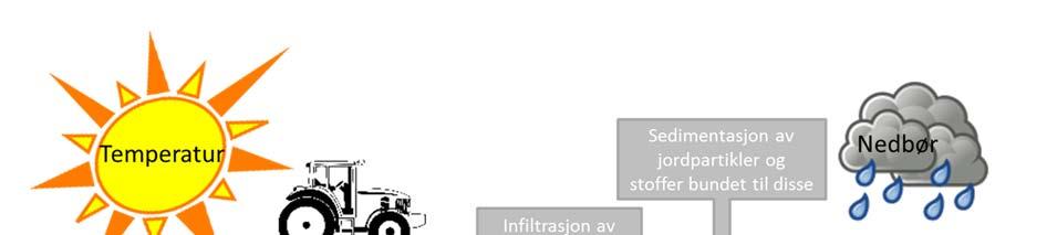 Effekten av buffersoner vil avhenge av hvordan den driftes og vedlikeholdes. Fjerning av plantemateriale beskrives som viktig for å øke effekten/redusere faren for utlekking av næringsstoffer.