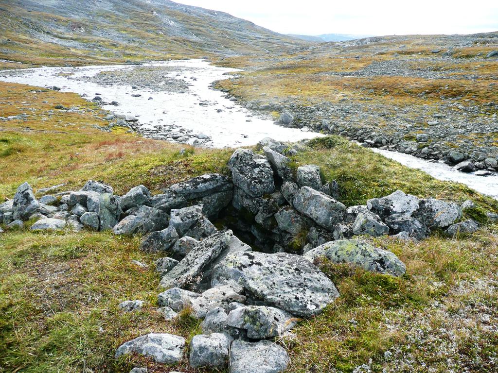 1 ÅRSMELDING for NORDFJELLA OG FJELLHEIMEN VILLREINNEMND 2016 Dyregrav, Aurland Foto: P A K Nordfjella og villreinnemnd har i år 2016 bestått av følgende medlemmer (varamedl.