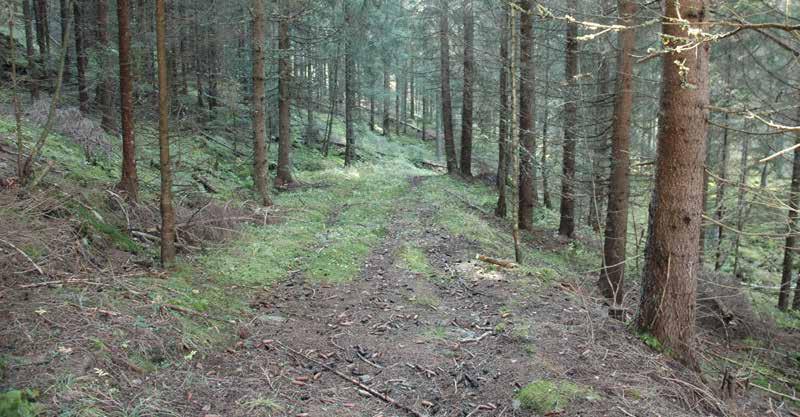 Større satsing Vegen som på 1770-tallet ble anlagt fra verket og sørvestover mot den opprinnelige bondebygda i Eidsvoll er fortsatt synlig enkelte steder.