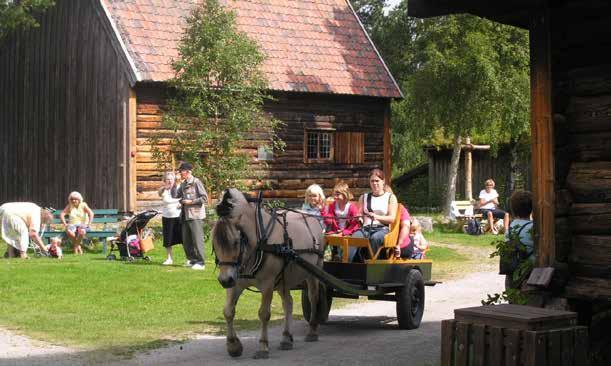 Totalt har de 3 regionsmuseene arrangert 84 utstillinger i rapporteringsåret 2010 som er en økning på 29 utstillinger (53 %) fra 2005.