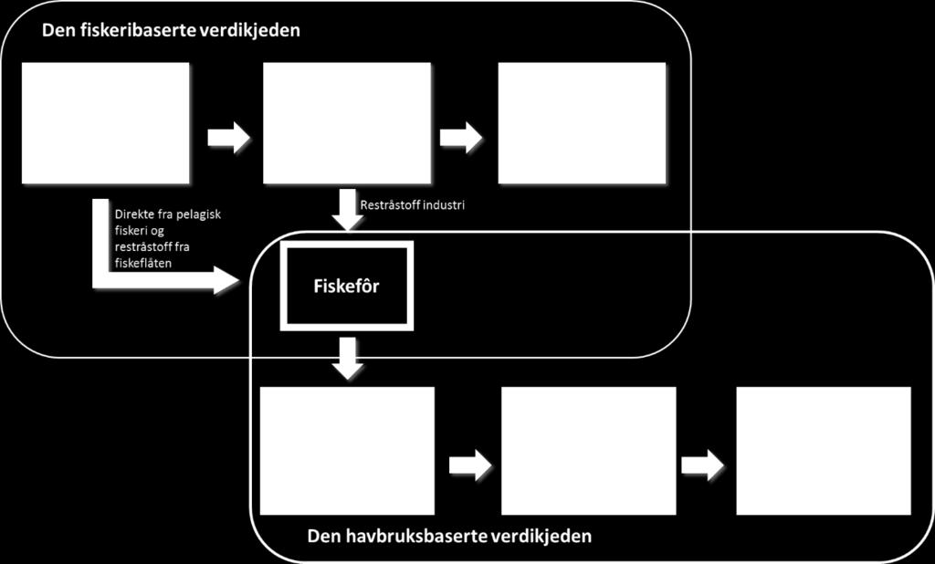 Betydningen av leveranser til havbruksnæringen De fiskeribaserte verdikjeden er koblet til den havbruksbaserte verdikjeden gjennom levering av fisk og restråstoff samt produksjon av innsatsfaktorer