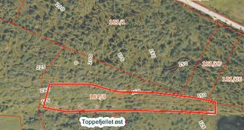 Det er også noe åpen fastdekt mark (grå) og myr. Gaarder (2010) har også registrert en liten rik edelløvskog øst for Toppefjellet som grenser til planområdet i sør (figur 8 og 10).