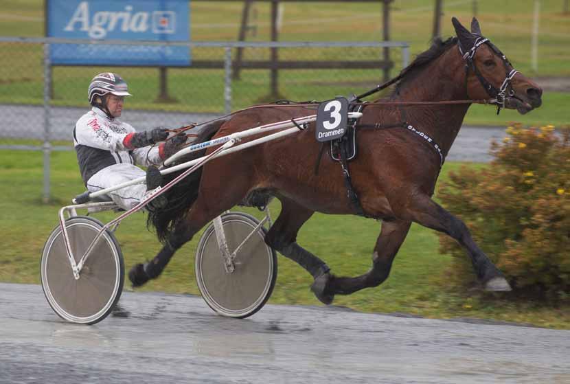 TRAVPROGRAM SØNDAG Sørlandets 2. juli TRAVPAR Gylden Balder i comeback val til Per Arne Enholms minneløp Start 1. løp kl. 18.15 V65 kl.