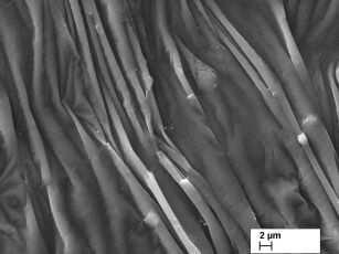 4 on toodud skaneeriva elektronmikroskoobiga tehtud pildid ränikristallist ning ränist, mida on kiiritatud deuteeriumiplasmaga seadmel PF-seadmega