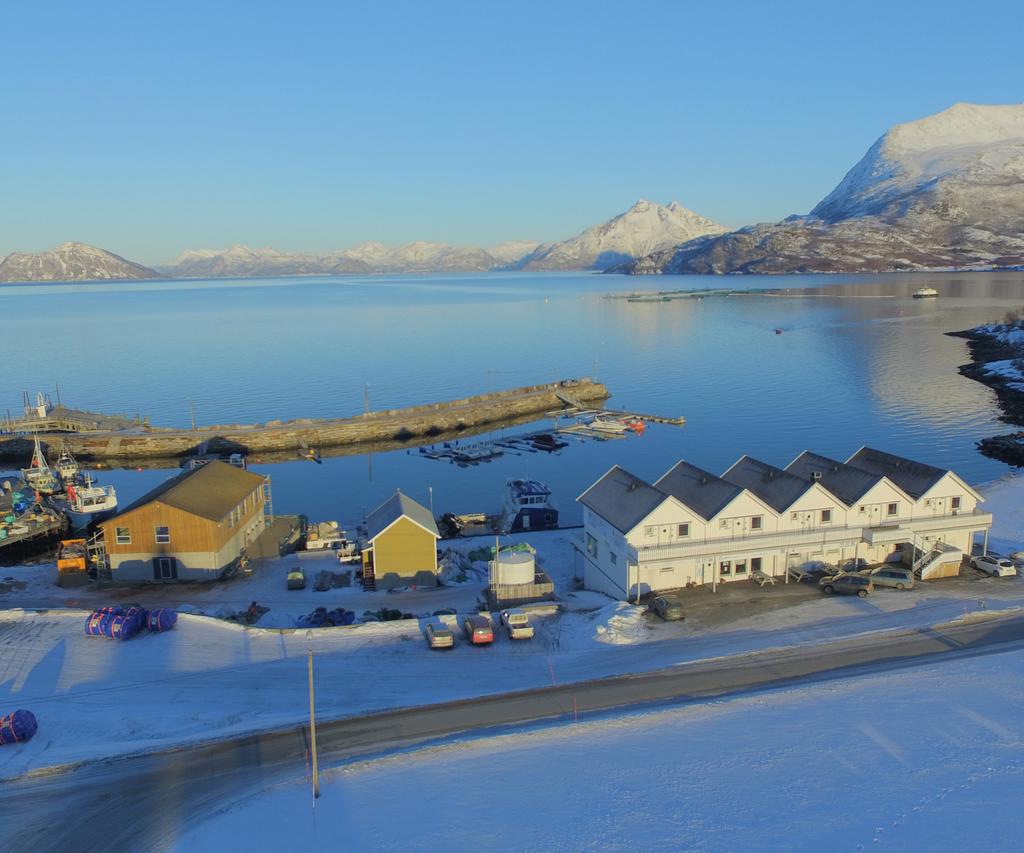 Grunnen til at vi valgte Polar Energi var at vi tidligere hadde en sjøvanns varmepumpe som stoppet flere ganger om dagen, noe som er uholdbart når du jobber innenfor den