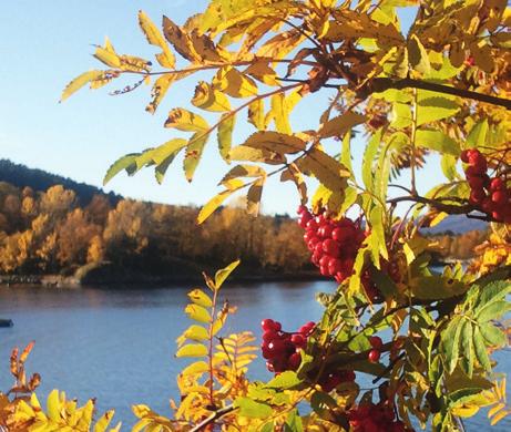 arbeide for å sikre oljevernet arbeide for å få lagt eit nasjonalt kompetansesenter for oljevern til kommunen sikre vern av natur- og friluftsområde i kommunen KOMMUNIKASJON OG SAMFERDSLE