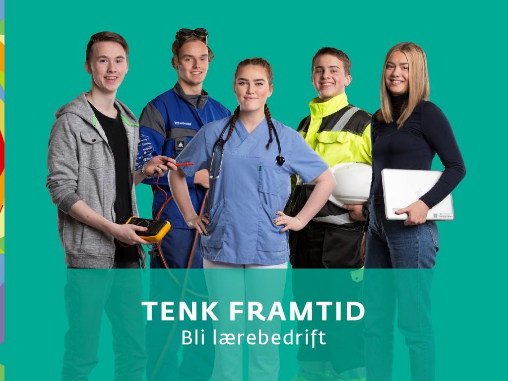 Vurdering Arbeid med å skaffe fleire læreplassar I 2015 kom det eit fall i oljeprisen, noko som fekk store konsekvensar for mange næringar i Møre og Romsdal.